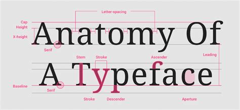 Anatomy Of Typeface Design Inspiration