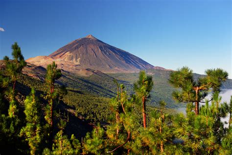 Explore Tenerife Things To Do Where To Stay And What To Eat