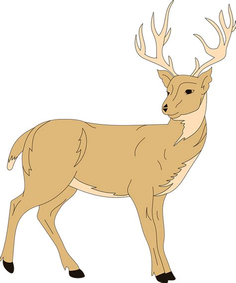 Download 61 Gambar Animasi Hewan Rusa HD Gratis - Gambar ...