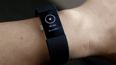 Fitness Price Wearable Tracker