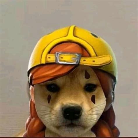Trending Videos On Tiktok In 2020 Dog Icon Dog Images Dog Memes