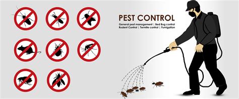 Head, thorax, abdomen and antennae. Pest Control Services Near Me Martinsville IN 46151 - Pest ...