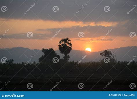 Asia Myanmar Myeik Landscape Stock Photo Image Of Morning Landscape