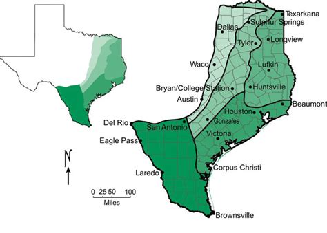 A Picture Of The Coastal Plains In Texas What Is This