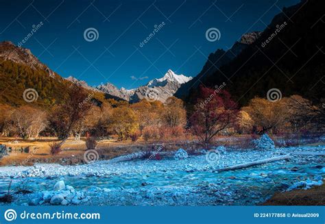 Autumn Scenery In Yading Nature Reserve Daocheng County Ganzi Tibetan