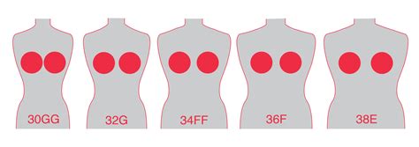 Breast Images Sizes