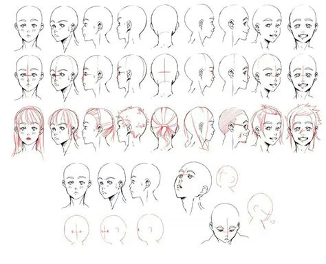 Face Rotation Drawing Tips And References Drawings Bird Drawings