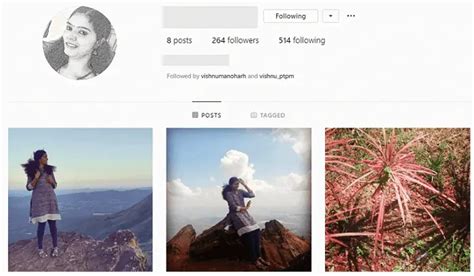 How To View Private Instagram Using Private Instagram Viewer Web