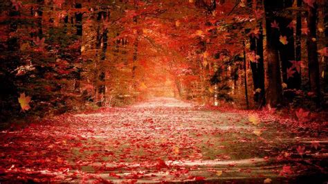 Fall Animated Background Autumn Animated Wallpapers Dream Wallpaper Fall Wallpaper