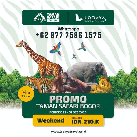 Ruang terbuka hijau pertama yang bisa kita temukan di daerah jakarta barat namanya ialah taman cattleya, letaknya di jalan letjend s.parman no.99, desa/kelurahan kemanggisan, kecamatan palmerah dengan kode pos 11430. Promo Taman Safari Bogor Januari 2021 - Harga Tiket Masuk ...