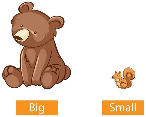 Premium Vector Illustrator Of Opposites Big And Small