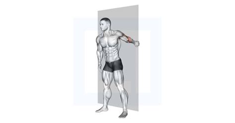 Forearm Pronator Stretch Guide Benefits And Form