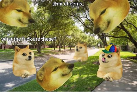 Le Wholesome Cheems Has Not Arrived Rdogelore