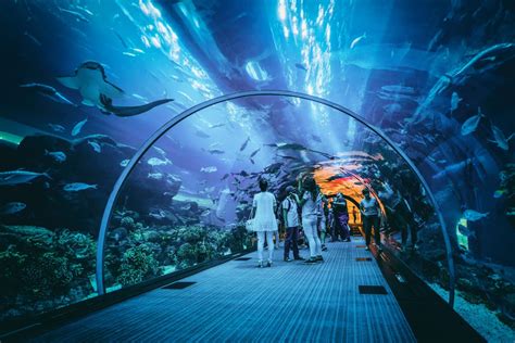 Dubai Aquarium Emirados Árabes Unidos
