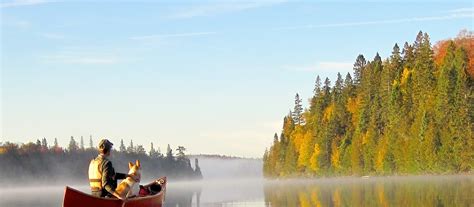 Canoeing Cottage Country Northern Ontario Travel