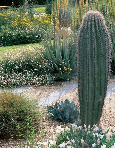 Xeriscape Landscaping With Style In The Arizona Desert Photos Of