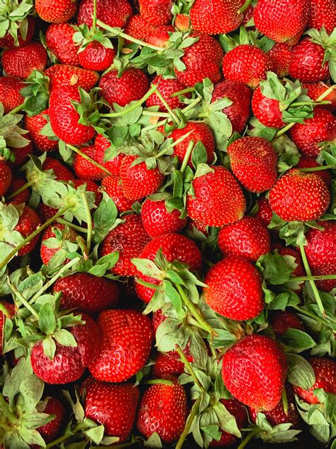 Strawberry In 2020 Strawberry Strawberry Fields Forever Strawberry