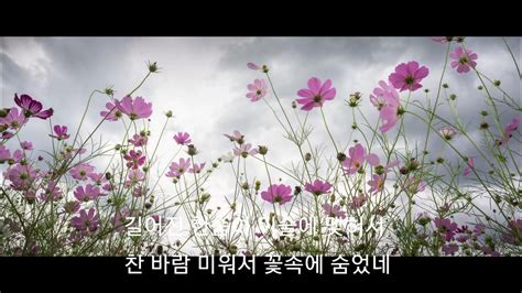 코스모스 피어있는 길 노래 남오성 원곡 김상희 youtube