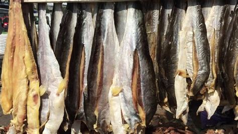 Tusk Dry Stock Fish Cod Dried Salted Cod Fish Buy Dried Salted Cod Fish