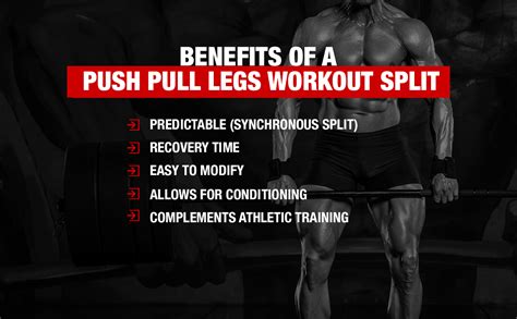 The Smartest Push Pull Legs Routine Fully Explained Push Pull Legs Bet Yonsei Ac Kr