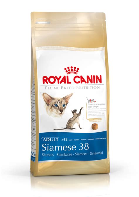 Royal Canin Siamese Cat Food Reviews Cat Meme Stock Pictures And Photos