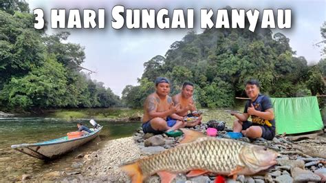Camping 4 Hari Hujan Deras Di Sungai Kanyau Fishing Camp Masak Ikan
