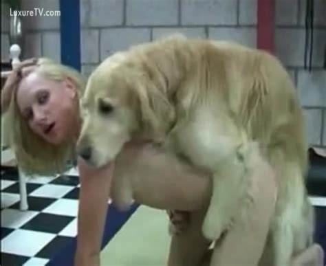 A Blondie And A White Dog Xxx Femefun