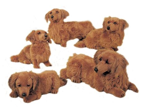 The breed's rootstock is thought to be a dwarf mutation of the taller hounds of the. Plush Longhaired Dachshunds | Realistic Stuffed Animals ...