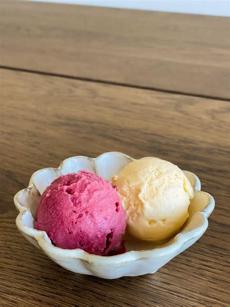 Hibiscus Sorbet And Horchata Ice Cream Ricecreamery