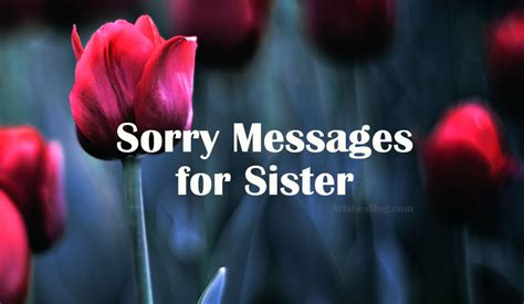 Sorry Messages For Sister Apology Quotes Wishesmsg
