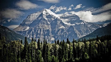 Mount Robson Canadian Rockies Wallpaper Backiee