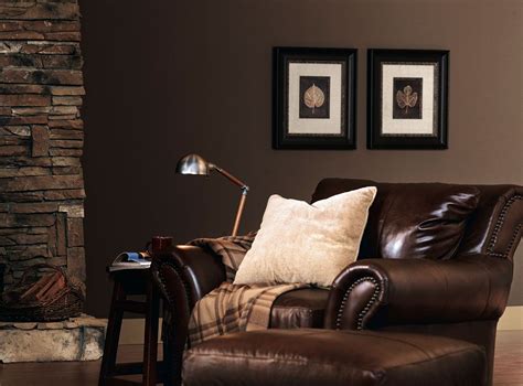 Richly Brown Brown Color Room Scenes Living Room Colors Living