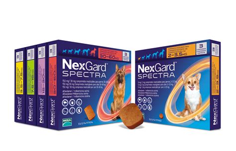 Nexgard Spectra Becomes The Only Product Licensed To Prevent Lungworm