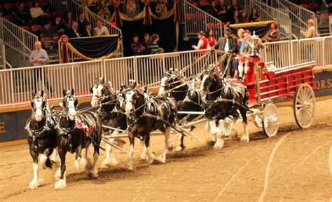 Grandview Clydesdale Winning The Clyde 6 Horse Competition At The