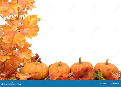 Pumpkins With Fall Leaves Stock Photography Image 1470232