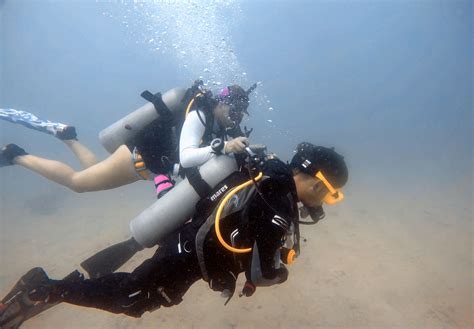 Discover Scuba Diving In Koh Tao Diving Course Padi Diving Open Water