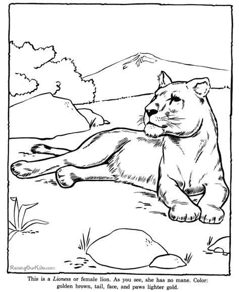 Lioness Coloring Pages Download And Print For Free