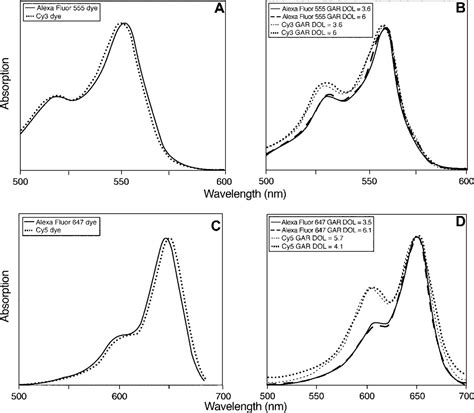 Quantitative Comparison Of Long Wavelength Alexa Fluor Dyes To Cy Dyes