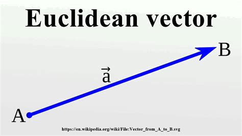 Euclidean Vector Youtube