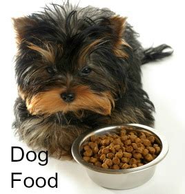 But most chinese food names are very long and consist multiple words. What do dogs eat?