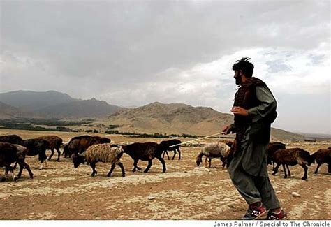 ancient lifestyles collide in afghanistan