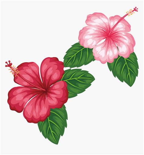 Tropical Floral Clipart