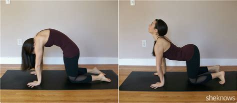 9 Yoga Poses To Help With Holiday Stress Sheknows