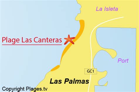 Plage De Las Canteras à Las Palmas De Gran Canaria Grande Canarie Canaries Espagne Avis