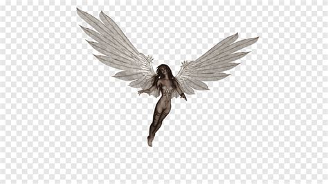 Angel Naked Angel Png Pngegg Hot Sex Picture