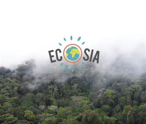 Ecosia Plante Il Vraiment Des Arbres - Rencontre avec le fondateur d'Ecosia, le moteur de recherche qui plante