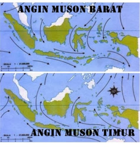 Adanya angin darat dan angin laut disebabkan oleh perbedaan sifat antara daratan dan lautan dalam menahan panas. Angin Monsun Asia akan Melintas di Sulsel, Bawa Hujan ...