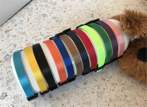 Puppy Collar 12 Colours Styley Pets