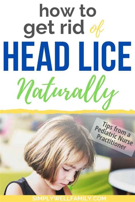 Head Lice How To Treat And Prevent Head Lice Naturally Simply Well