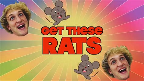 Logan Paul Tasers Two Rats In New Youtube Video Youtube